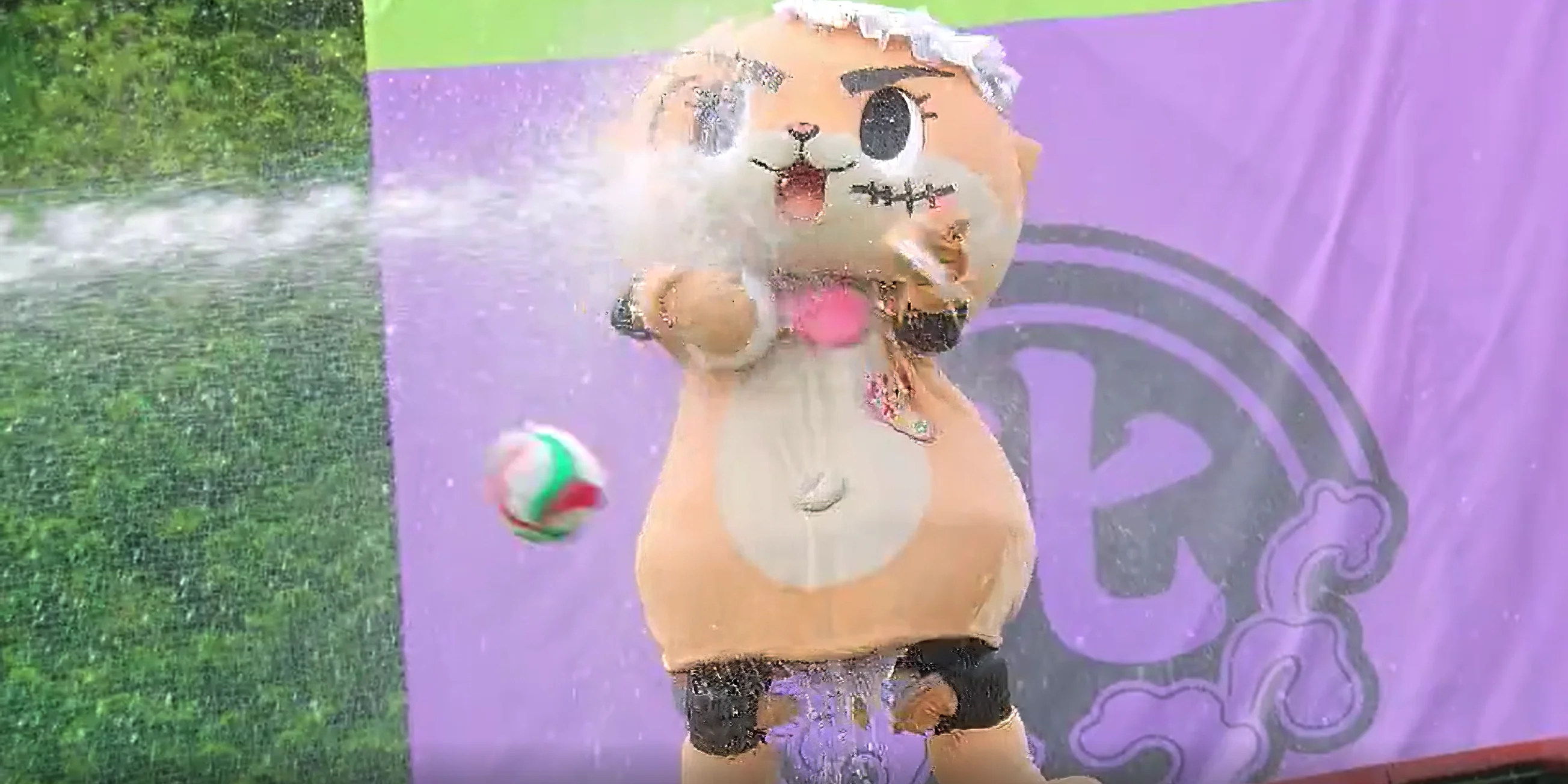 Chiitan losing balance on a narrow bridge while being sprayed with water, on Takeshi's Castle